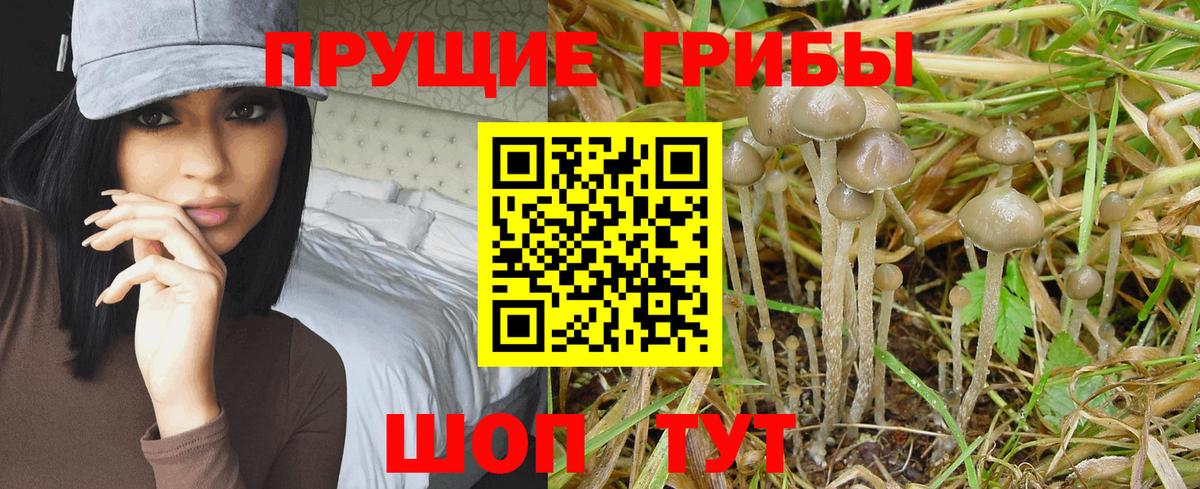 Псилоцибиновые грибы MAGIC MUSHROOMS Евпатория