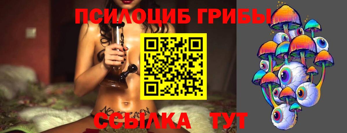 Евпатория  Псилоцибиновые грибы GOLDEN TEACHER  Вход с VPN 